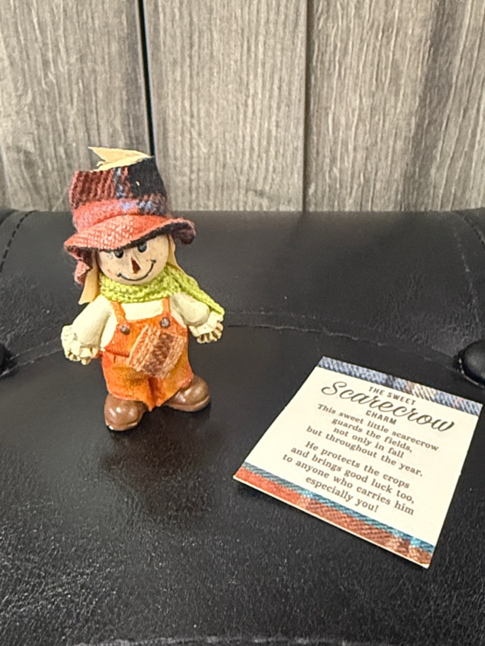 New Ganz Tiny Sweet Little Orange Pants Scarecrow Pocket Token Charm & Card
